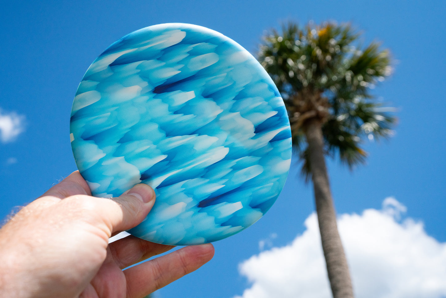 WINGMAN DISC