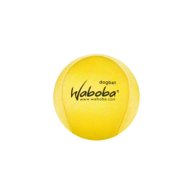 FETCH DOG BALL