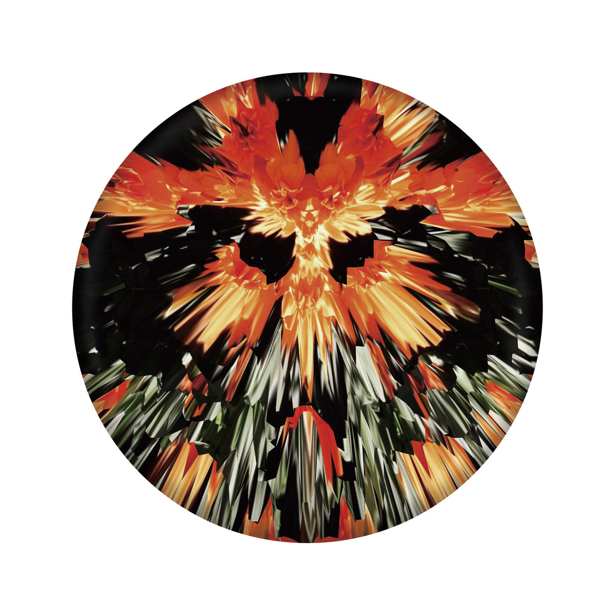 WINGMAN PRO DISC